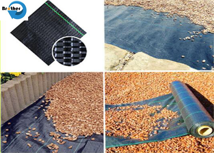 Anti Grass PP Weed Mat Weed Control Mat /Ground Cover/Landscape Fabric