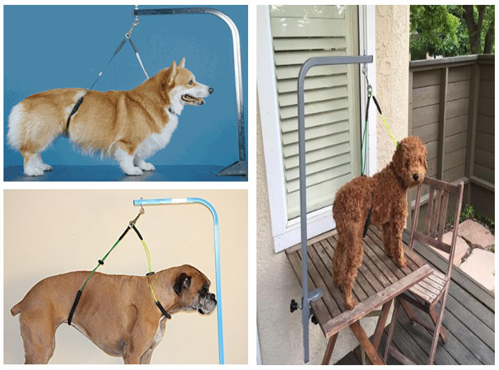 Eco Friendly Dog Grooming Table Harness Adjustable Loop Noose