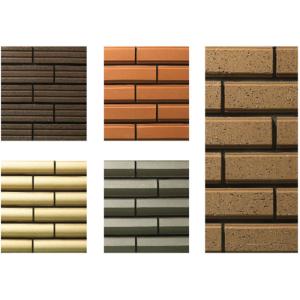 Quality Plane Surfaces Special Shaped Bricks , Clay Thin Veneer Brick Customized for sale