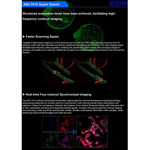 OPTO EDU A64.1010 Full Auto APO Laser Confocal Microscope with Motorized Z Axis and High Speed Hardware Control