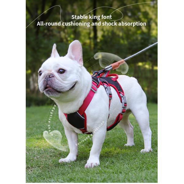 Medium Size Personalized Dog Harness No Pull Dog Harness Anti Breakaway Safe Anti Escape