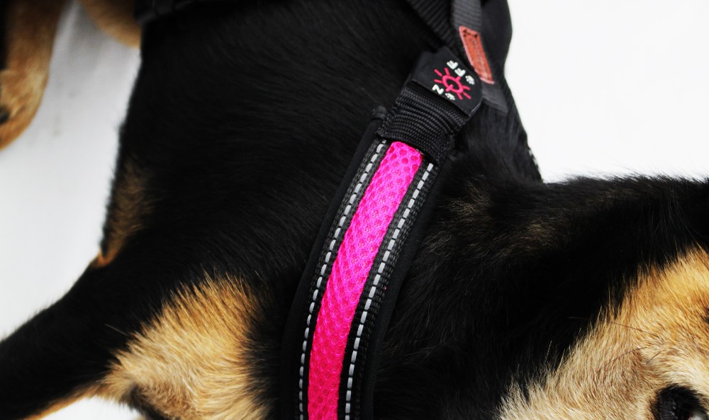 Rechargeable Airmesh Material Led Dog Harness , Easy Walk Dog Collar