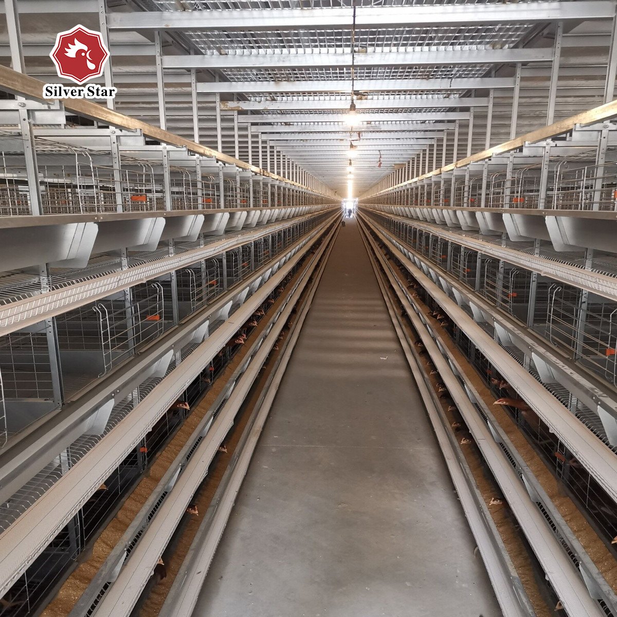 65*62.5*50 Cm Size Battery Chicken Cage Farming 380V For Rearing House