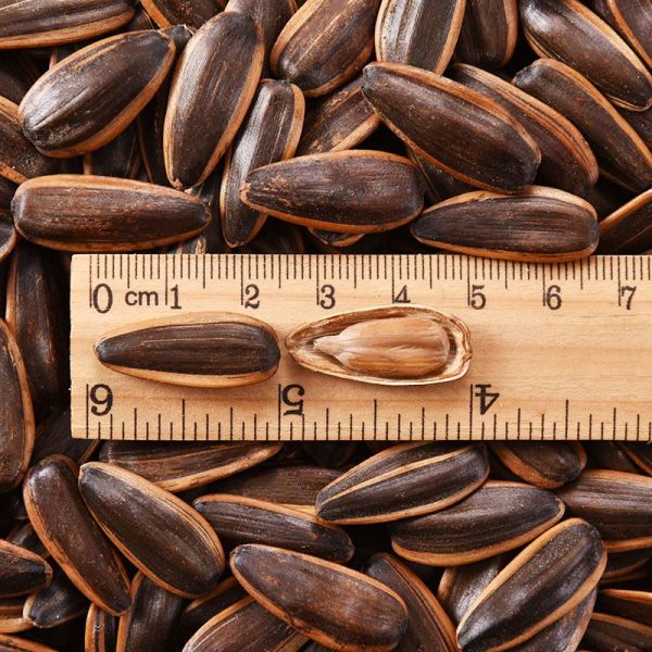 High Quality Walnut Flavor Roasted Sunflower Seeds Customized Wholesale Private Label Nuts Amazon’s best-selling products