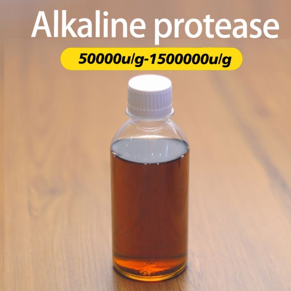 Quality 200000u/G Protease In Laundry Detergent Washing Enzyme Preparation for sale