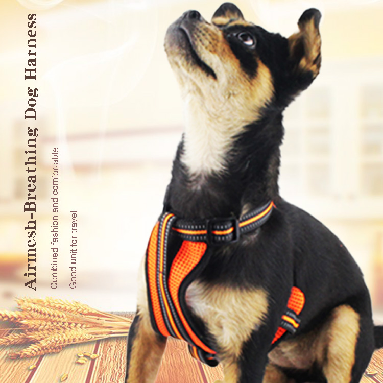 Reflective Pet Dog Harness And Leash No Pull Reversible Padded Adjustable Step In Mesh