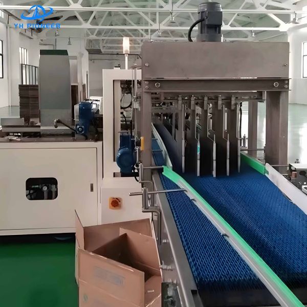 Beverage Carton Packer Machine for Diverse Packaging Needs