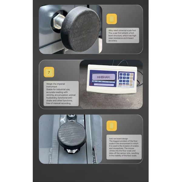 Industrial Electronic Balance Platform Floor Weighing Scales with Customized OBM Support and Carbon Steel