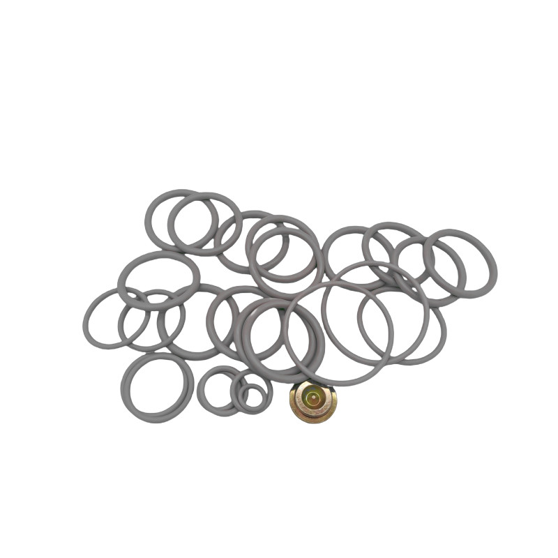 Royal Way 10 BP3.SEC Redress Kits Repair Kits Well Completion Tool