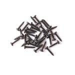 Precision Micro Screws Titanium Polishing Coating Countersunk Head Miniature