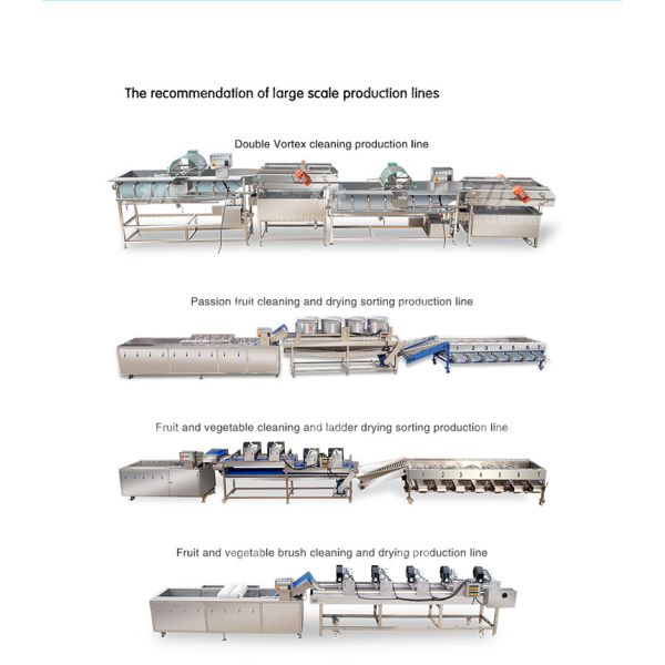 Stainless Steel Vegetable Processing Machine 1.1KW Fruit Cutting Halt Machine