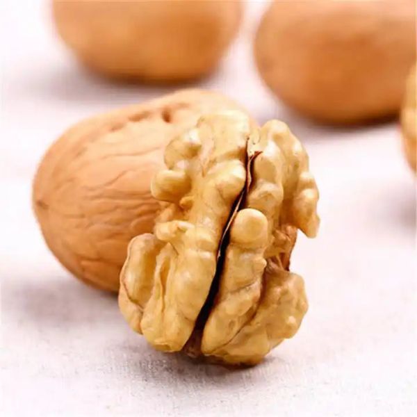 Hot New Crop Amazon hot sale premium edible walnuts Without Shell Manufacturing wholesale in China