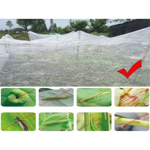 1-2m Plastic Garden Mesh Netting For Fruit Trees And Vegetables