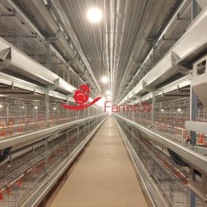 Quality Premium Poultry Cage System 4-Tier Adjustable Chick Brooder for sale