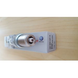 Quality Auto Spark Plug for VW NGK OEM 101905631A for sale