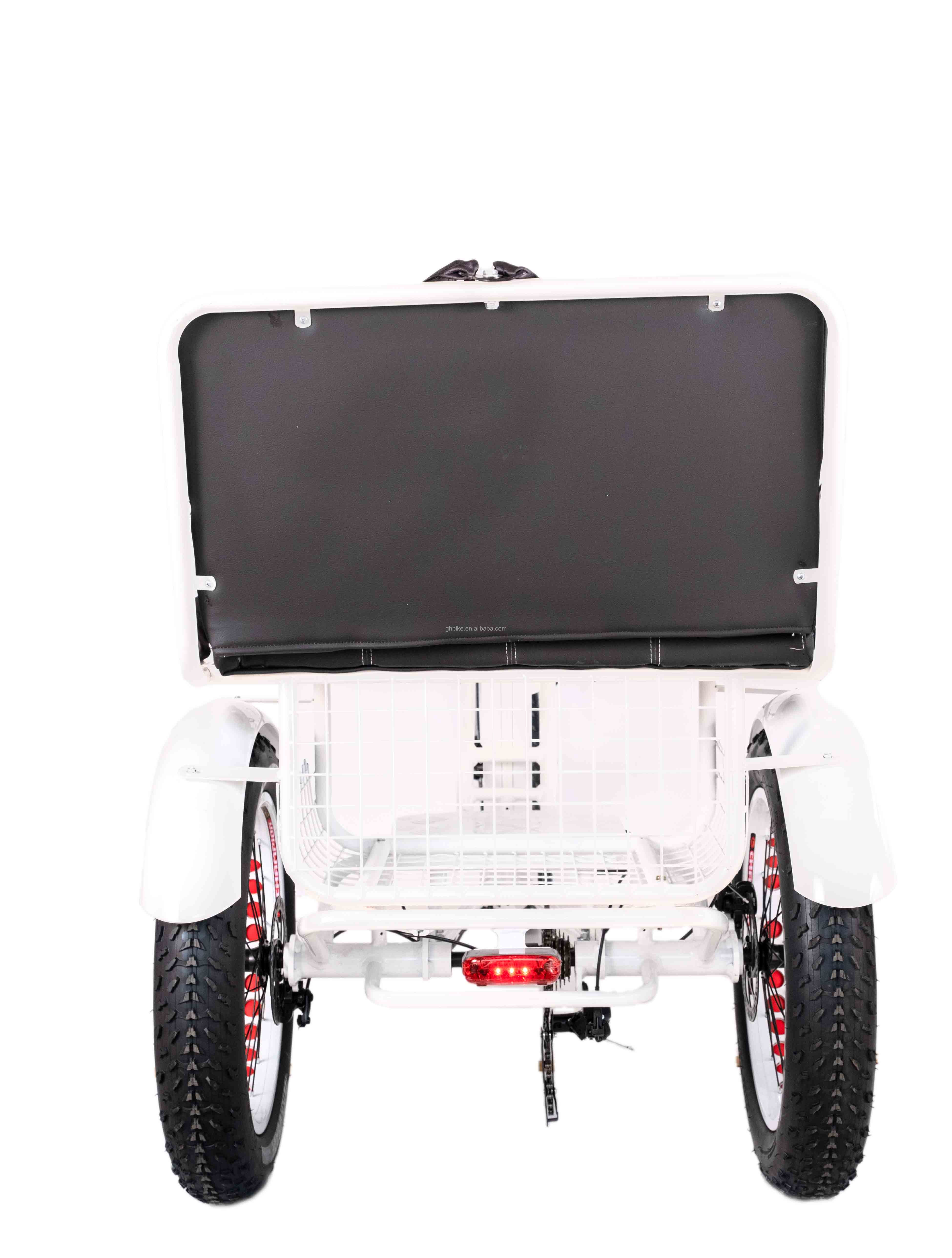 750W Front Wheels Electric Rickshaw Trike with 21AH Lithium Battery and 7 Speed Gears