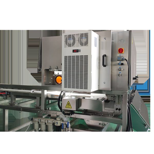 High Speed Shape Based Dehydrated Spinach Sorter