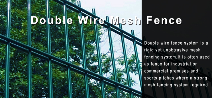 Powder Coated 868 656 Twin Double Wire Mesh Fencing for Security 2.2*2.5m