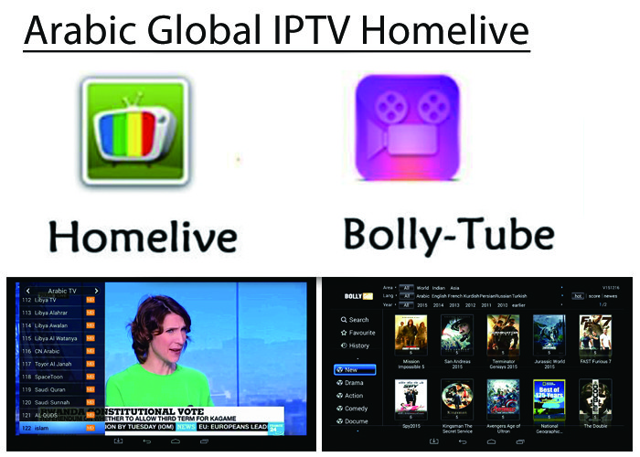 Buy cheap Arabic IPTV Bein OSN Africa Europe USA Indian Global Live channels + VOD stable from wholesalers