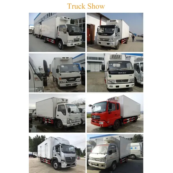 Carrier Refrigerator Unit Refrigerated Freezer Cooling Van Refrigerator Truck