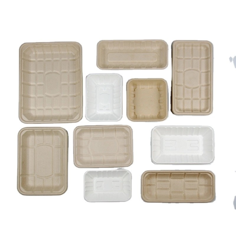 Disposable Biodegradable Sugarcane Bagasse Tray Recycled Paper Food Tray