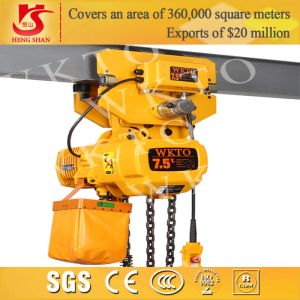 Quality electric 5 ton chain block for sale