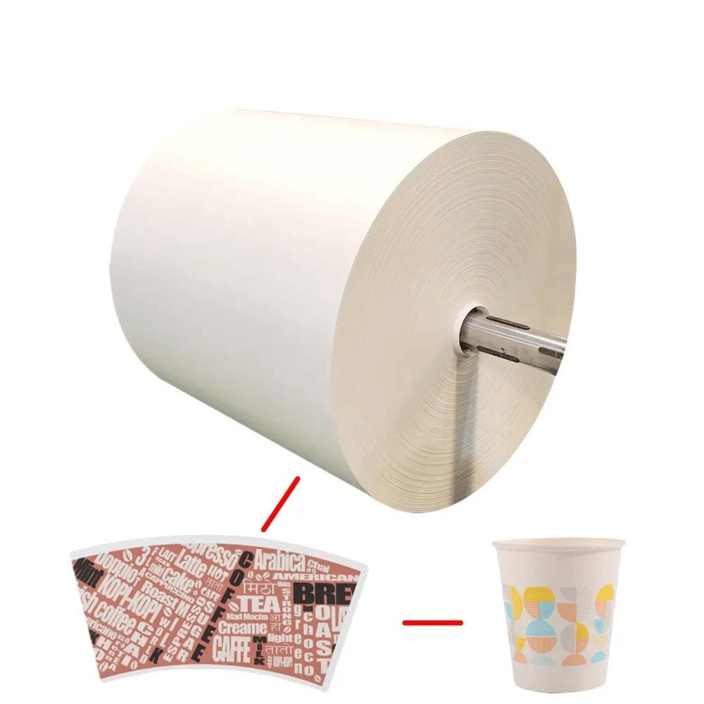 Greaseproof and Water Resistant PE Coated Paper Roll for Disposable Cups and Containers