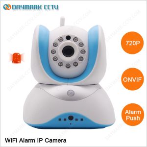 China Linkage alarm wireless motion sensor hidden camera with night vision on sale