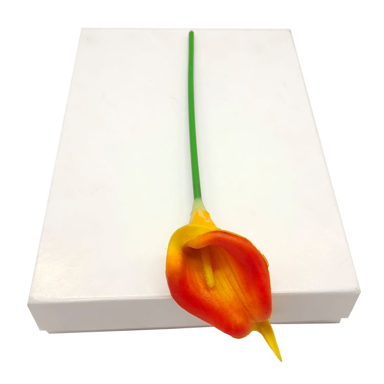 Quality 170gsm-400Gsm White Cardboard Paper Sheet / Roll Double Side Coating for sale