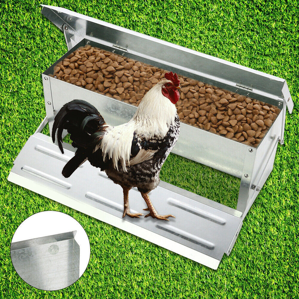 Quality Solid Construction L51cm Automatic Chicken Feeder Timer for sale