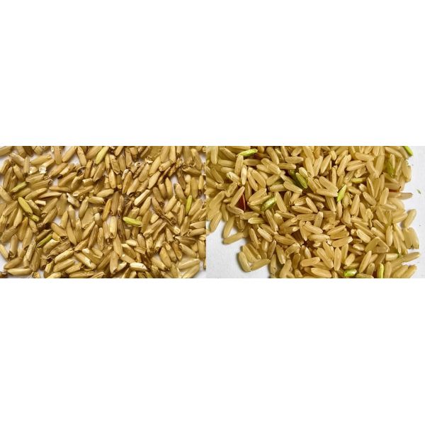 Z Series Rice Color Sorter