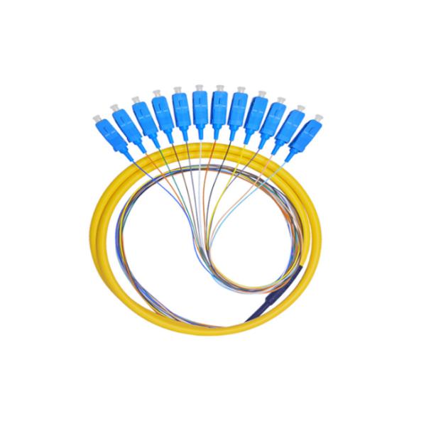 SCUPC 12 core 9 / 125 Fiber Optic Pigtail G652D OS2 Bundle Fanout Pigtails