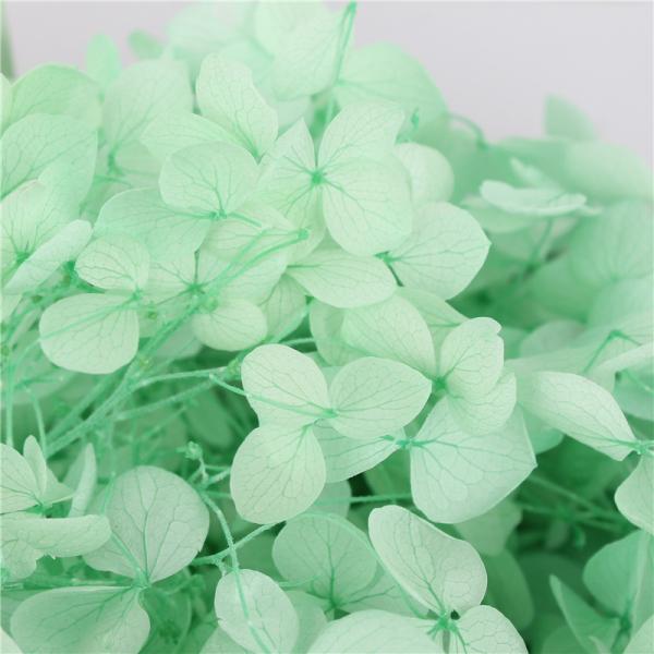 Decorative Wall Natural Touch Preserved Hydrangea Color Chart Available
