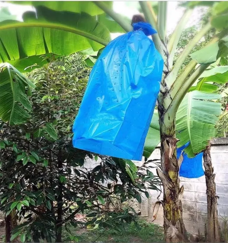 Perforated Polyethylene Banana Bunch Protection Bag