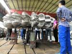 50Hz/60Hz Frequency Hydro Turbine Runner with Customized Blade Length