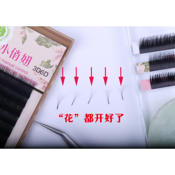 Light 3D Russian Volume Eyelash Extensions , 3D Semi Permanent Eyelashes