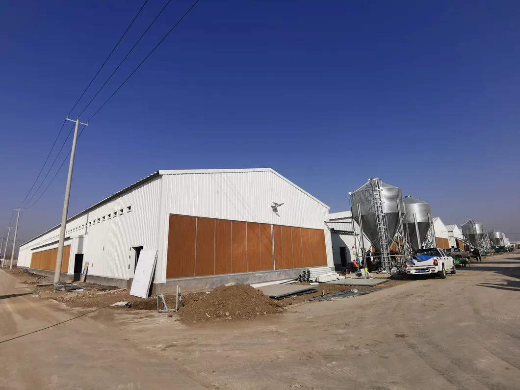 Automatic Equipment Metal Cage Steel Structure Broiler Chicken Poultry House