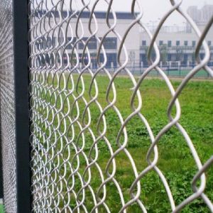 Galvanized 1.8mm Pvc Chain Link Fence For Park