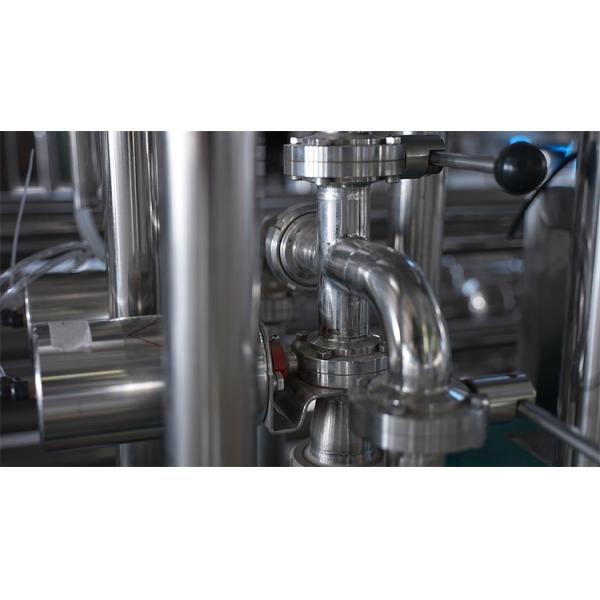 Efficient Mango Processing Line Customized for Different Mango Products