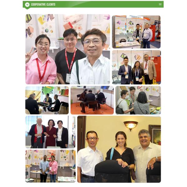 PP Mold Kraft Material Fruit Tray Liner Paper Pulp Packaging for Apples and Avocados Manufacturer