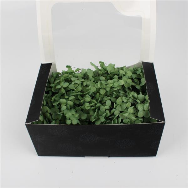 Decorative Wall Natural Touch Preserved Hydrangea Color Chart Available