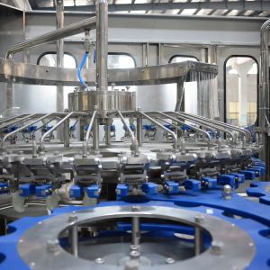 6000BPH 8000BPH Monoblock Liquid Filling Machine Particles Dosing Function