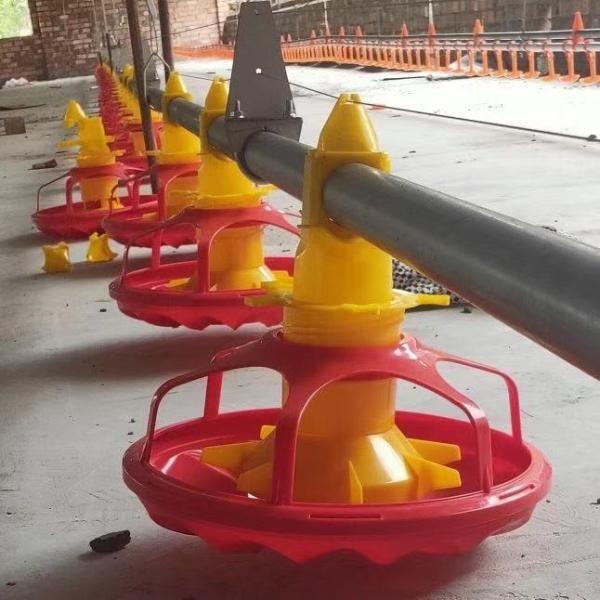 Cheap Price Fully Automatic Chicken Feeder and Waterer Broiler Feeding and Drinking Line System for Chicken Coop Breeding