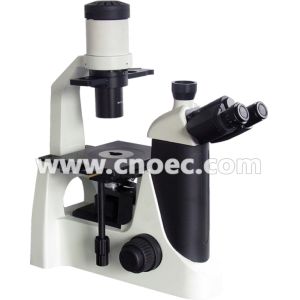 Laboratory Inverted Optical Microscope
