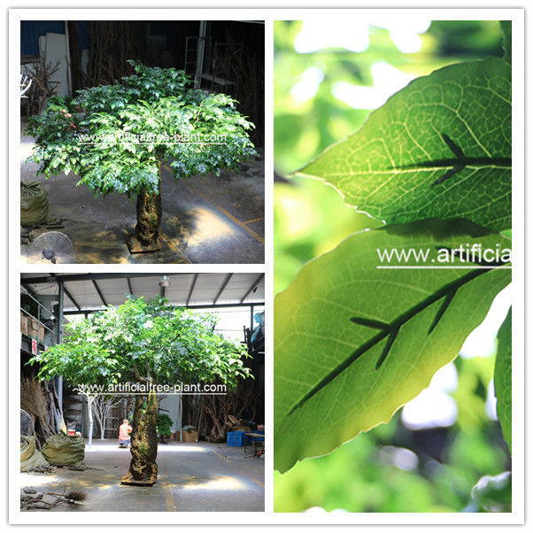 Bodhi Leaves Artificial Ficus Religiosa Tree Fiberglass / Wood Material