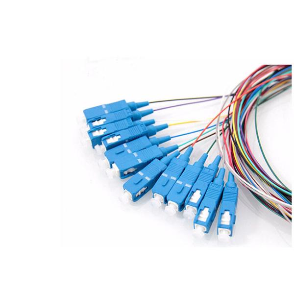 SCUPC 12 core 9 / 125 Fiber Optic Pigtail G652D OS2 Bundle Fanout Pigtails