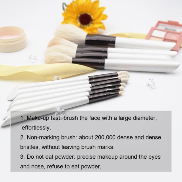 10PCS Multifunctional Goat Hair Makeup Brush Set 19*4cm