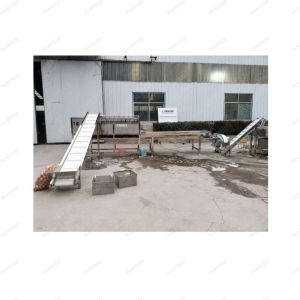 Peach And Mango Sorting Machine Fully Automatic Fruit And Vegetable Grading