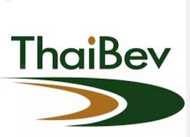 Single-Lane Gantry Palletizer For 18,000 BPH Beverage Aseptic Line Efficient & Reliable Automation