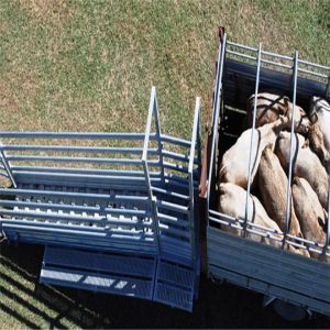 Australian Galvanized Cattle Loading Ramp / Mobile Cattle Loading Ramp Easy